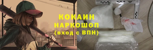 трава Бородино