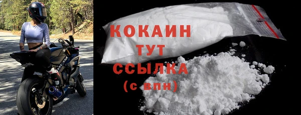 кокс Богородицк