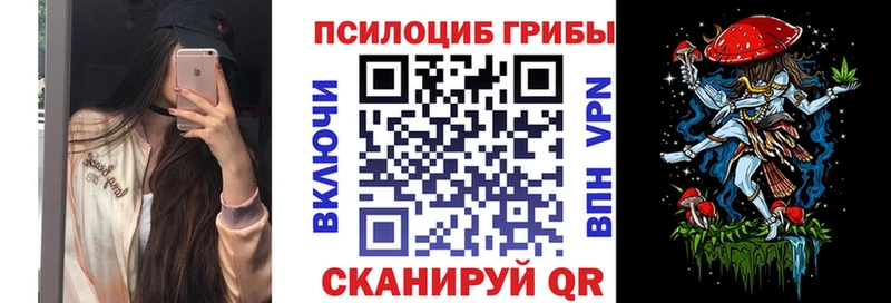 Псилоцибиновые грибы мицелий  Купить где  Мегион 
